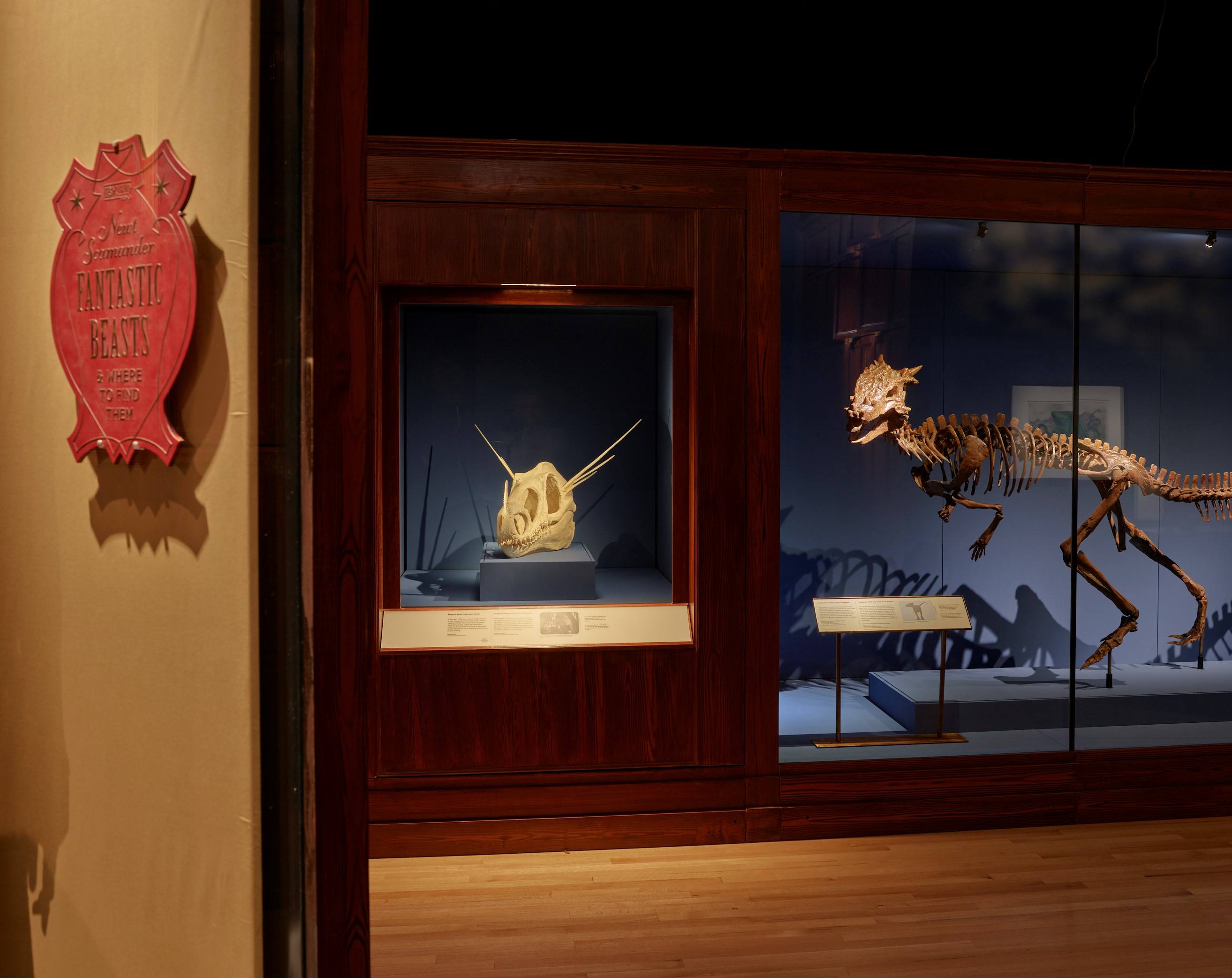 Exhibits and specimens in Fantastic Beasts™: The Wonder of Nature